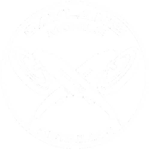 daylans mobile detailing logo white.png